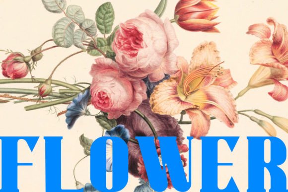 Warriot: The Bold Serif Font That Commands Attention